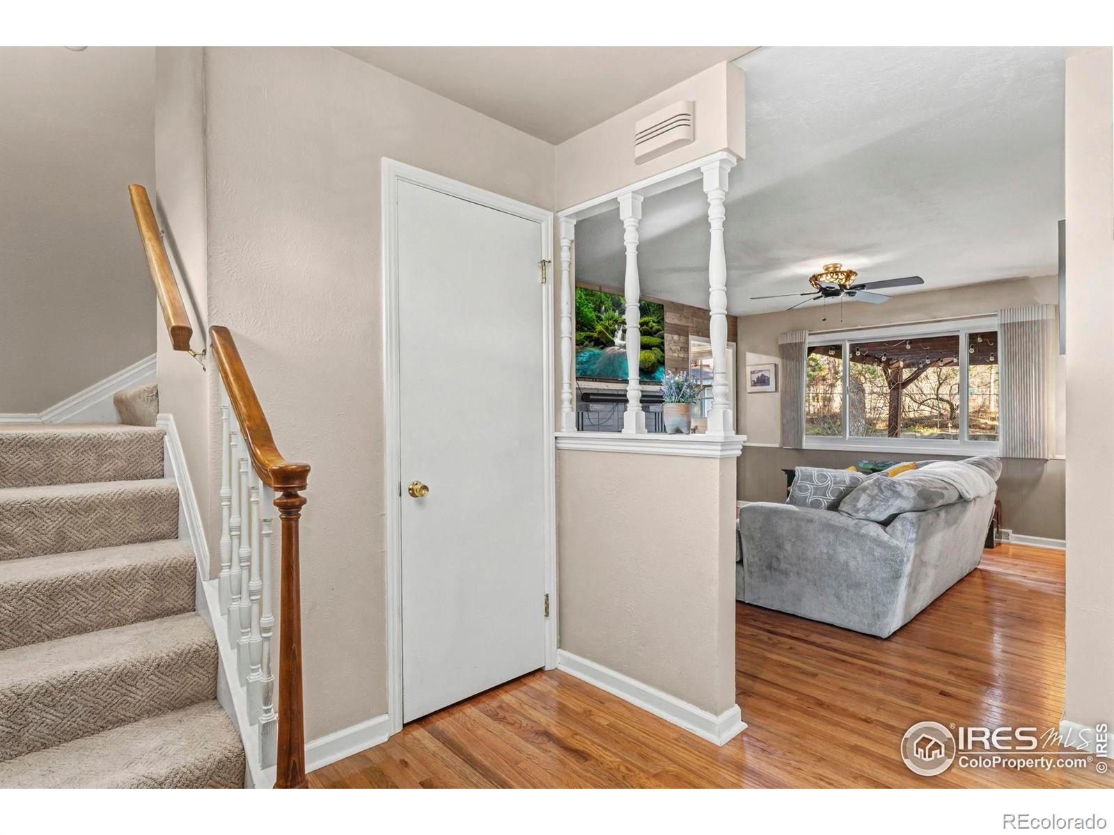MLS Image #3 for 19  dale place,longmont, Colorado