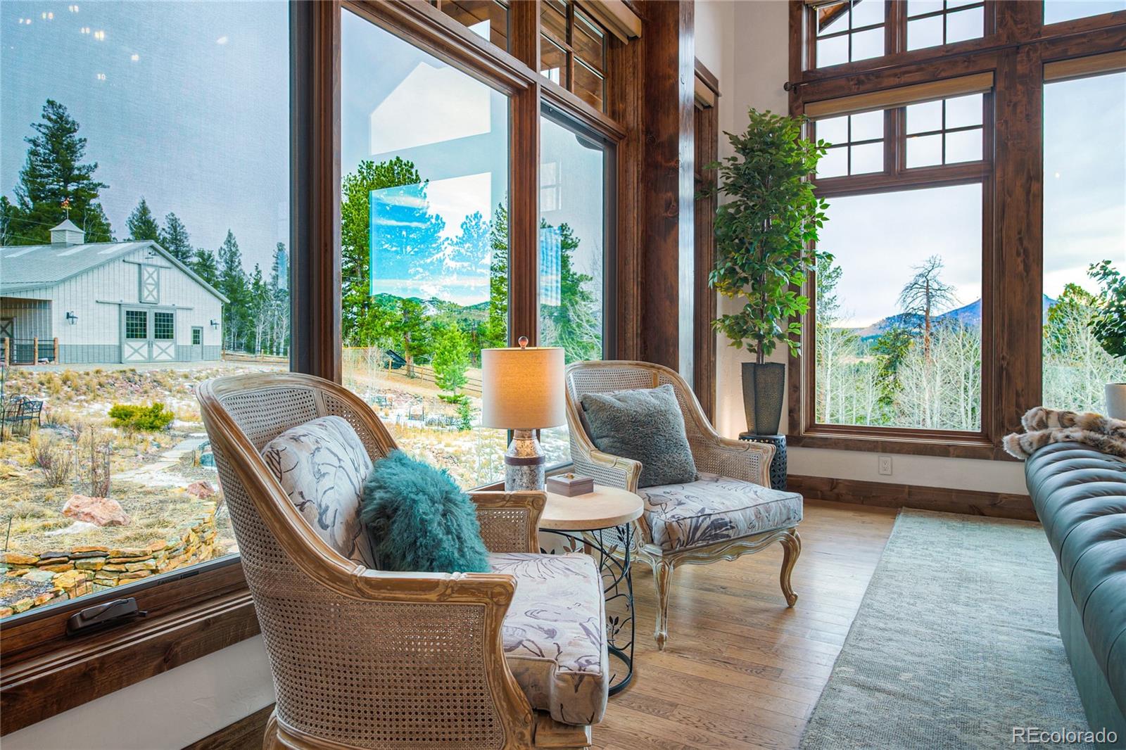 MLS Image #10 for 228  bear drive,guffey, Colorado