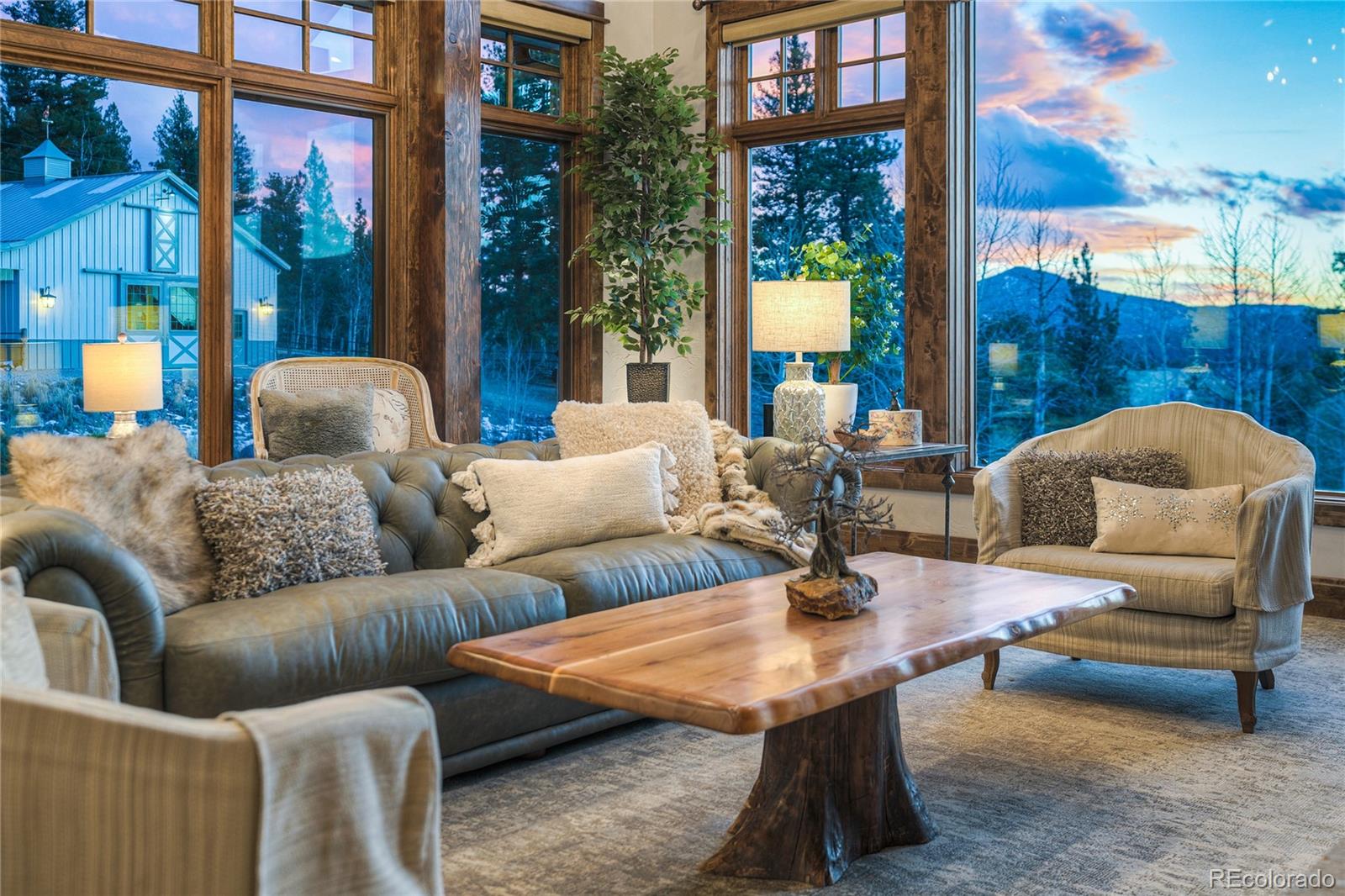 MLS Image #12 for 228  bear drive,guffey, Colorado