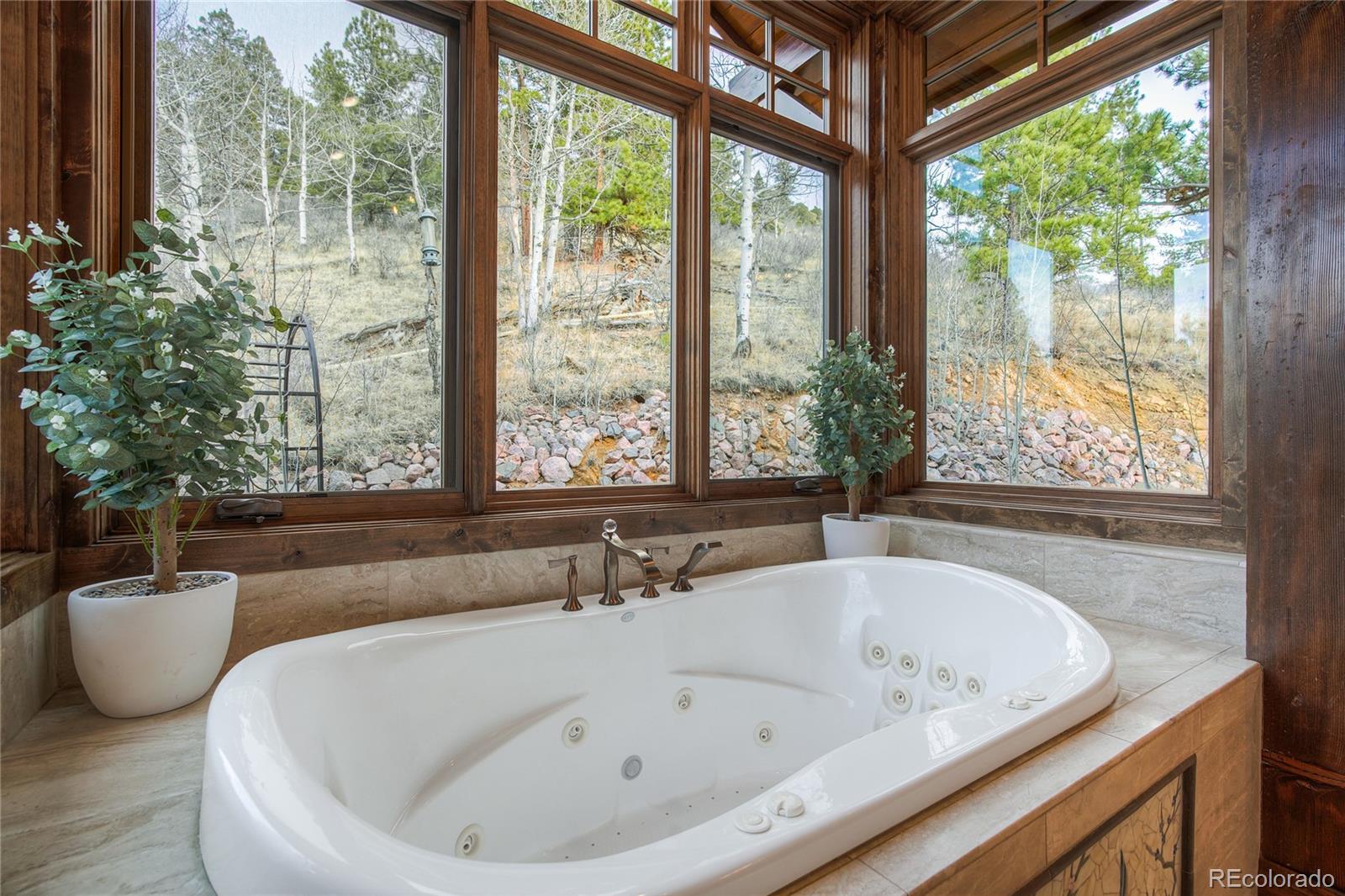MLS Image #26 for 228  bear drive,guffey, Colorado