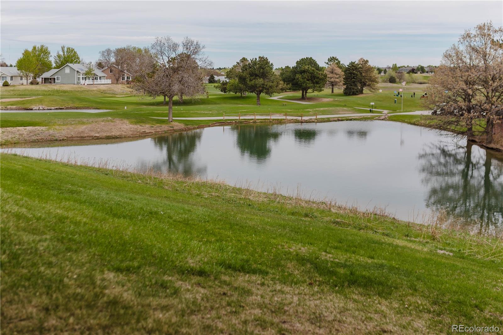 MLS Image #20 for 14  stonehaven court,littleton, Colorado