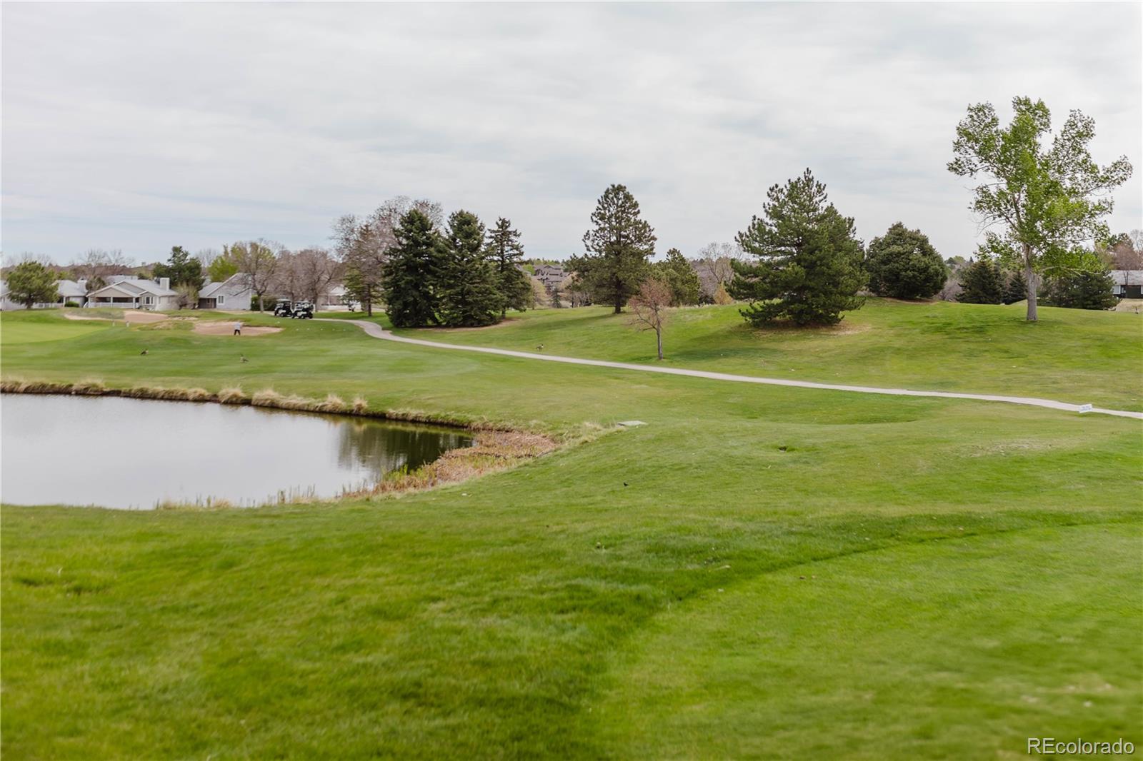 MLS Image #23 for 14  stonehaven court,littleton, Colorado