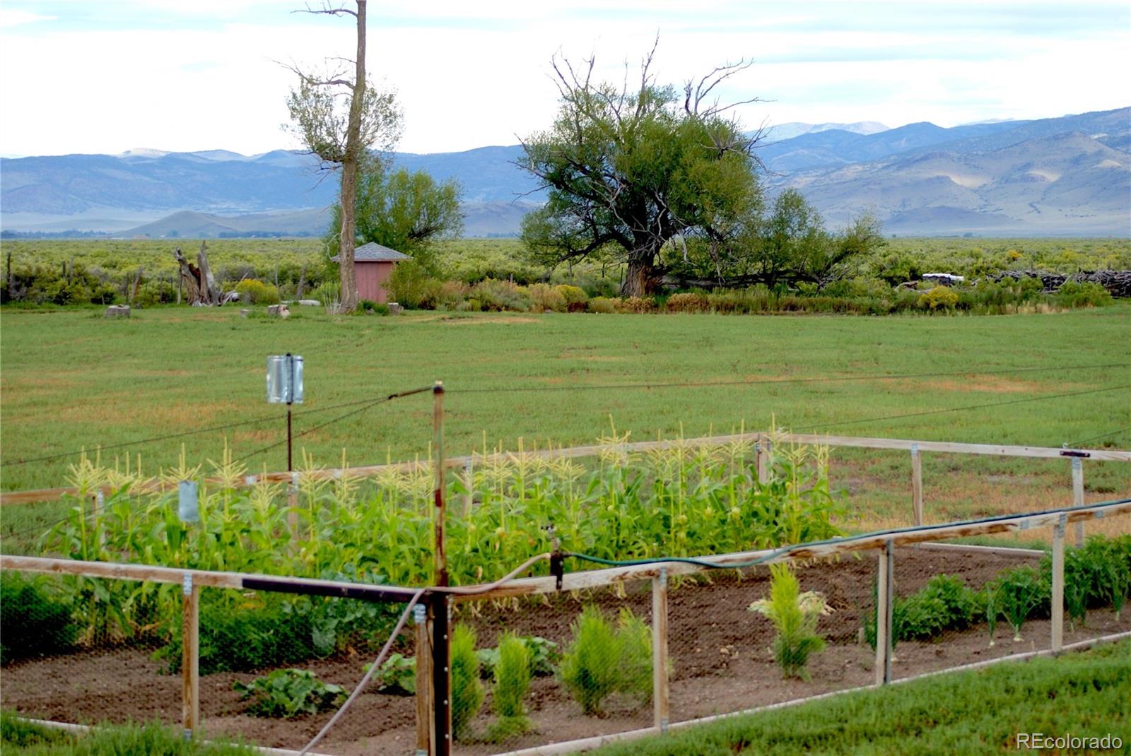 MLS Image #15 for 51655  county road u ,saguache, Colorado