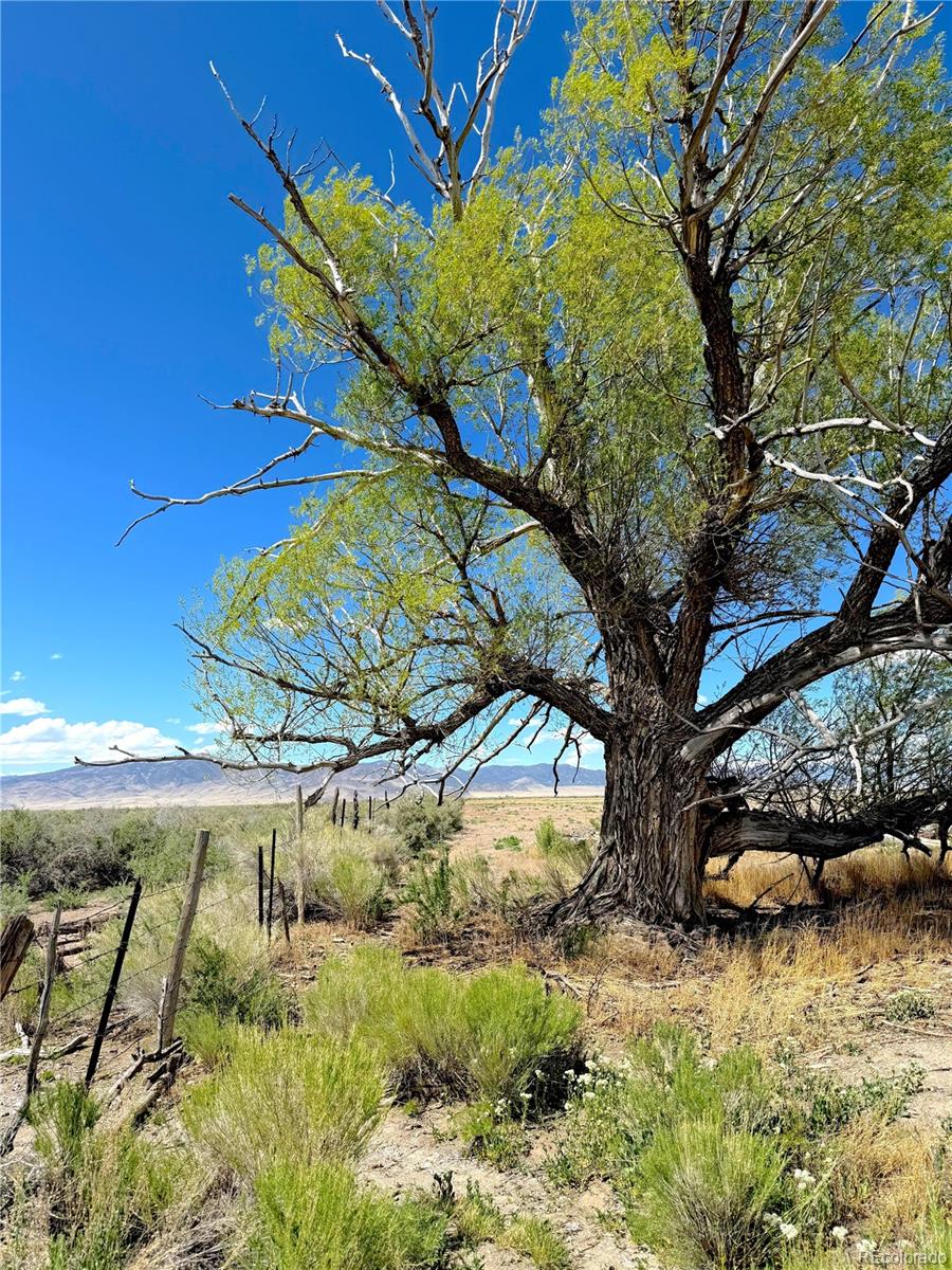 MLS Image #20 for 51655  county road u ,saguache, Colorado