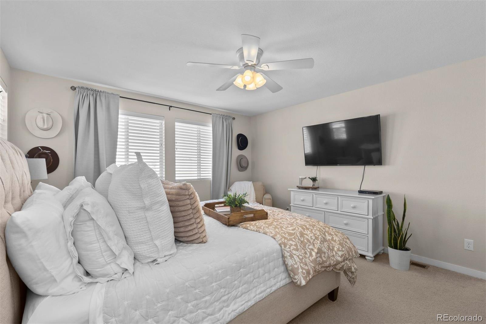 MLS Image #11 for 14760  domino drive,parker, Colorado