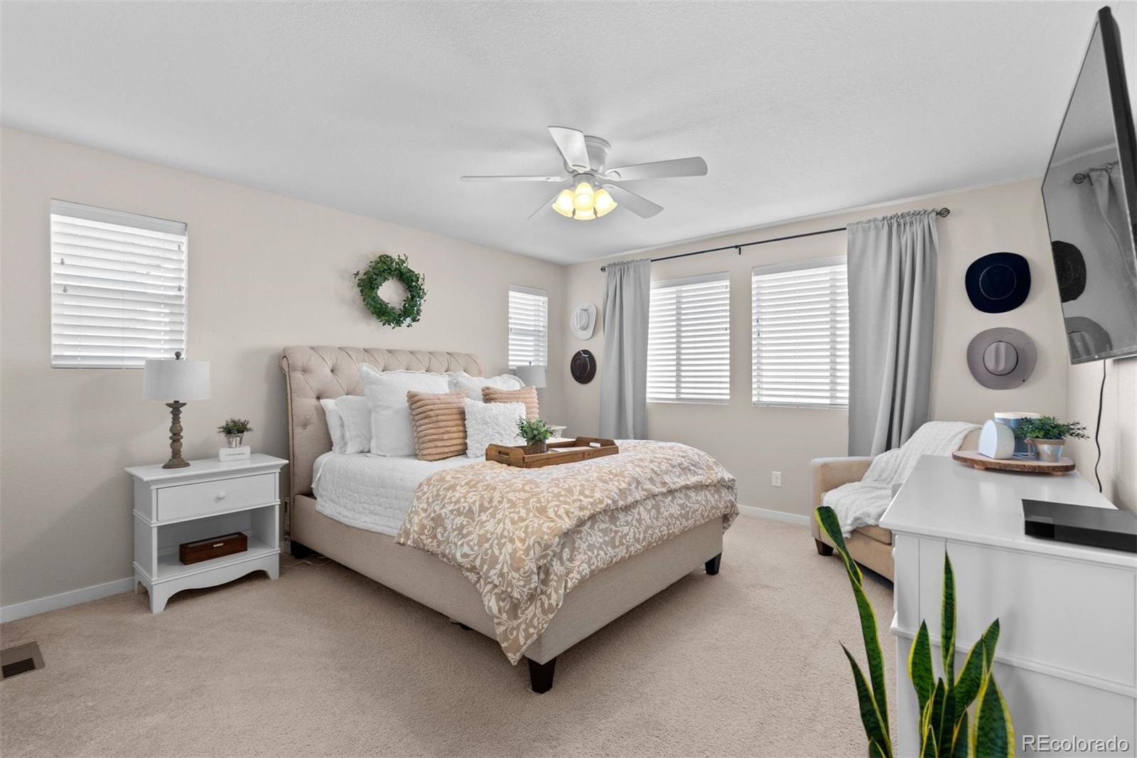 MLS Image #27 for 14760  domino drive,parker, Colorado