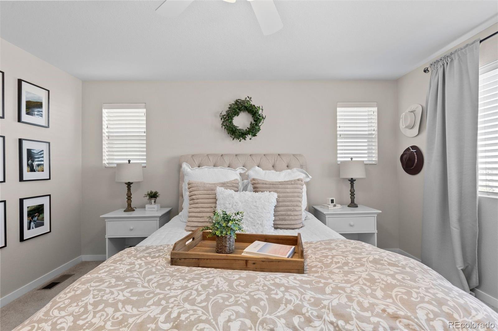 MLS Image #28 for 14760  domino drive,parker, Colorado