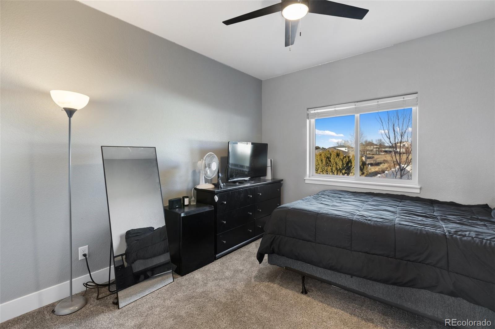 MLS Image #30 for 113 w alexis drive,pueblo west, Colorado
