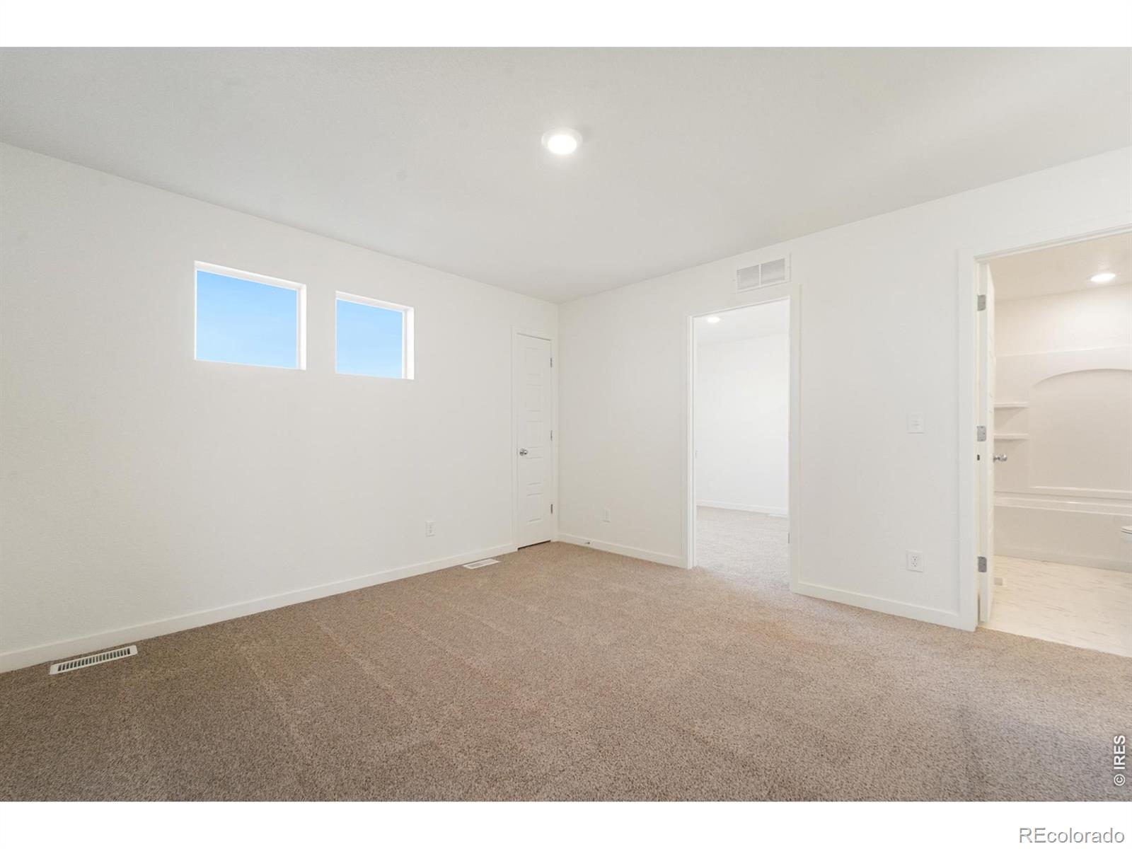 MLS Image #10 for 3816  soapstone street,evans, Colorado