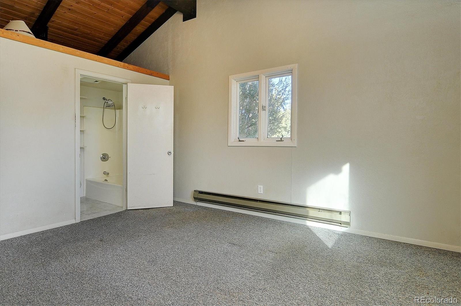 MLS Image #15 for 31320  county road 384 a ,buena vista, Colorado