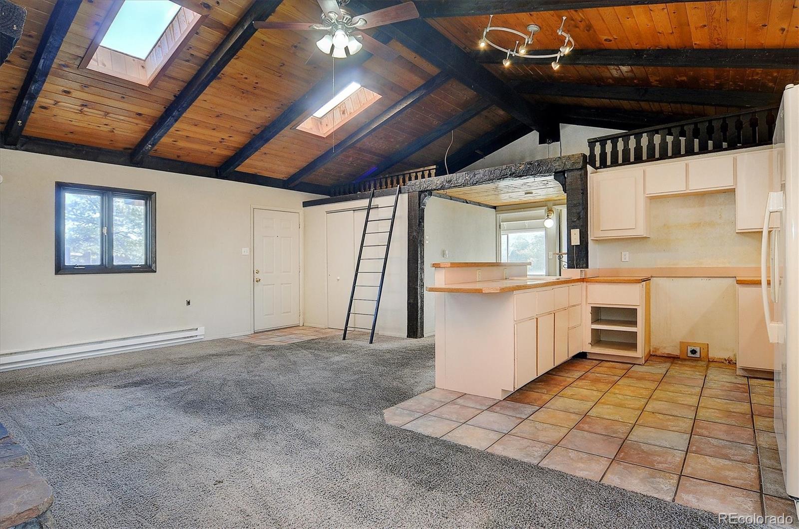 MLS Image #8 for 31320  county road 384 a ,buena vista, Colorado