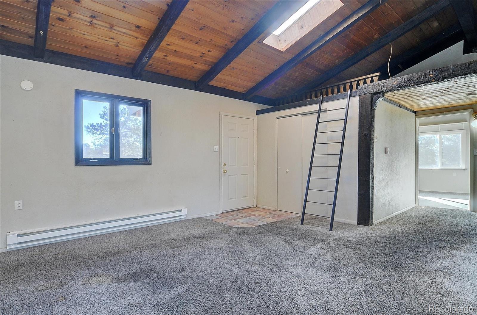 MLS Image #9 for 31320  county road 384 a ,buena vista, Colorado