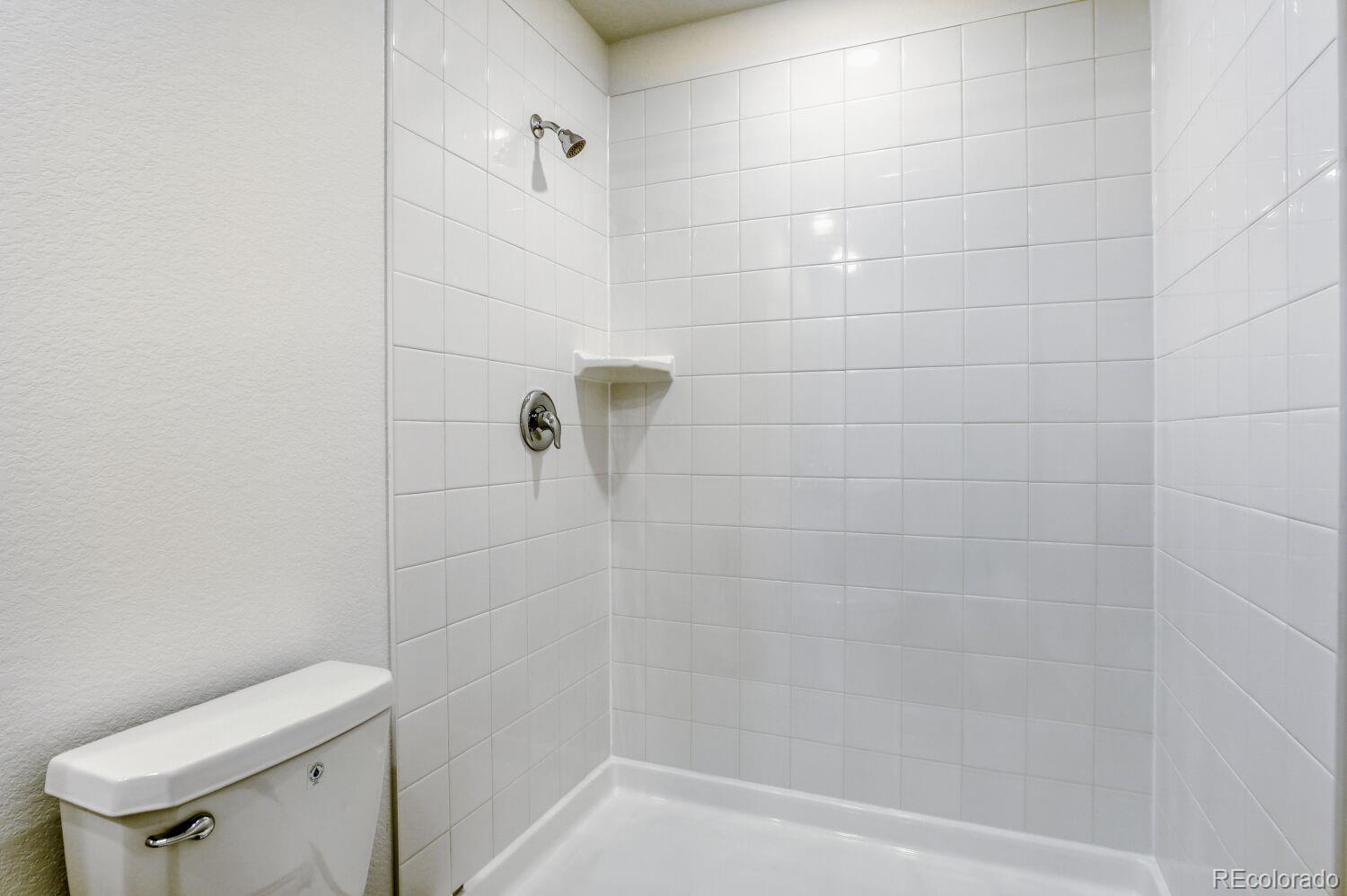 MLS Image #8 for 289  mia lane,johnstown, Colorado