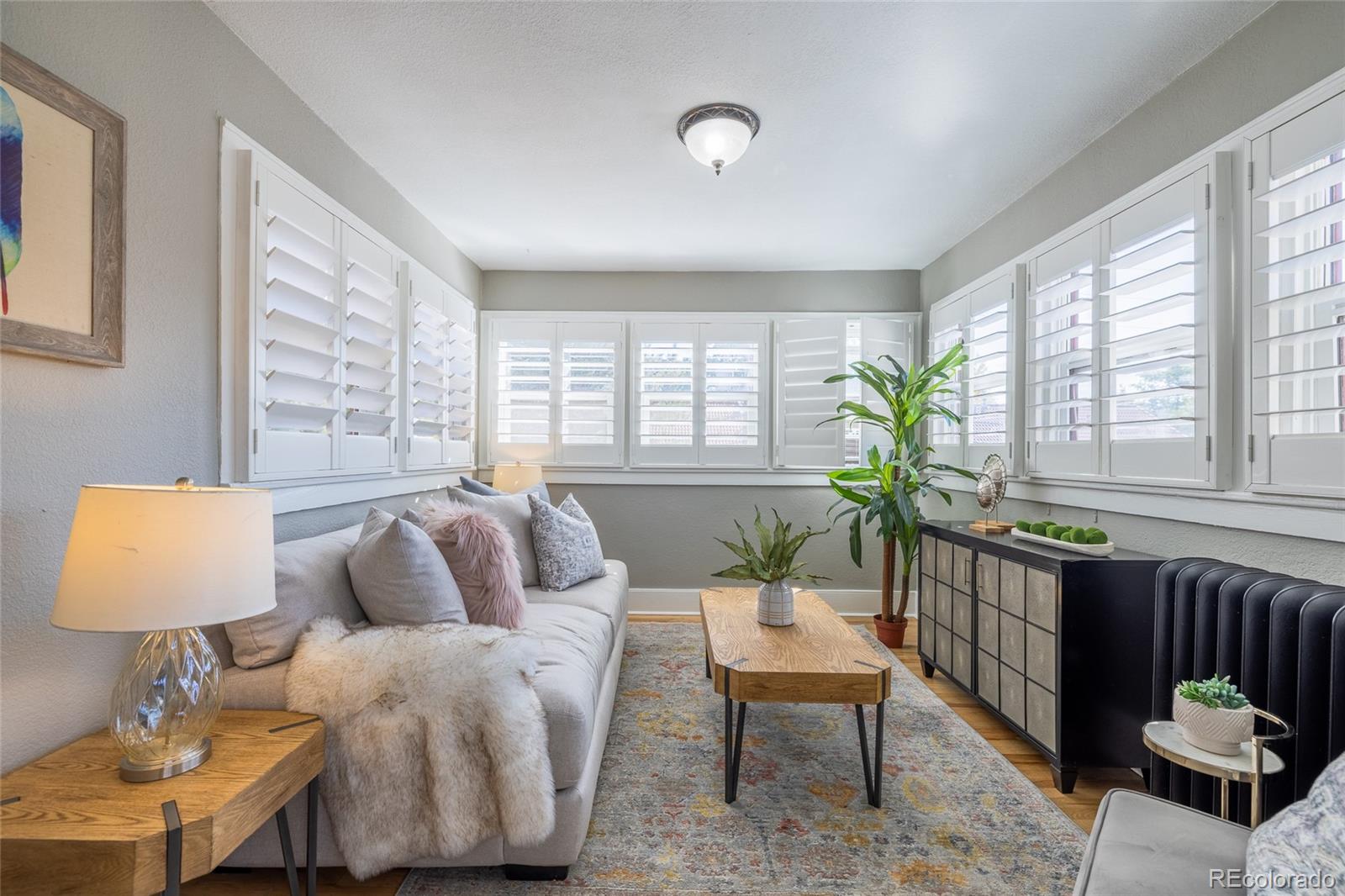MLS Image #5 for 1640 n downing street 204,denver, Colorado