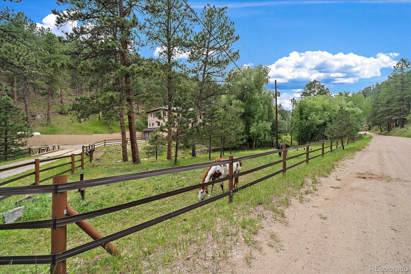 MLS Image #10 for 27756  troublesome gulch road,evergreen, Colorado