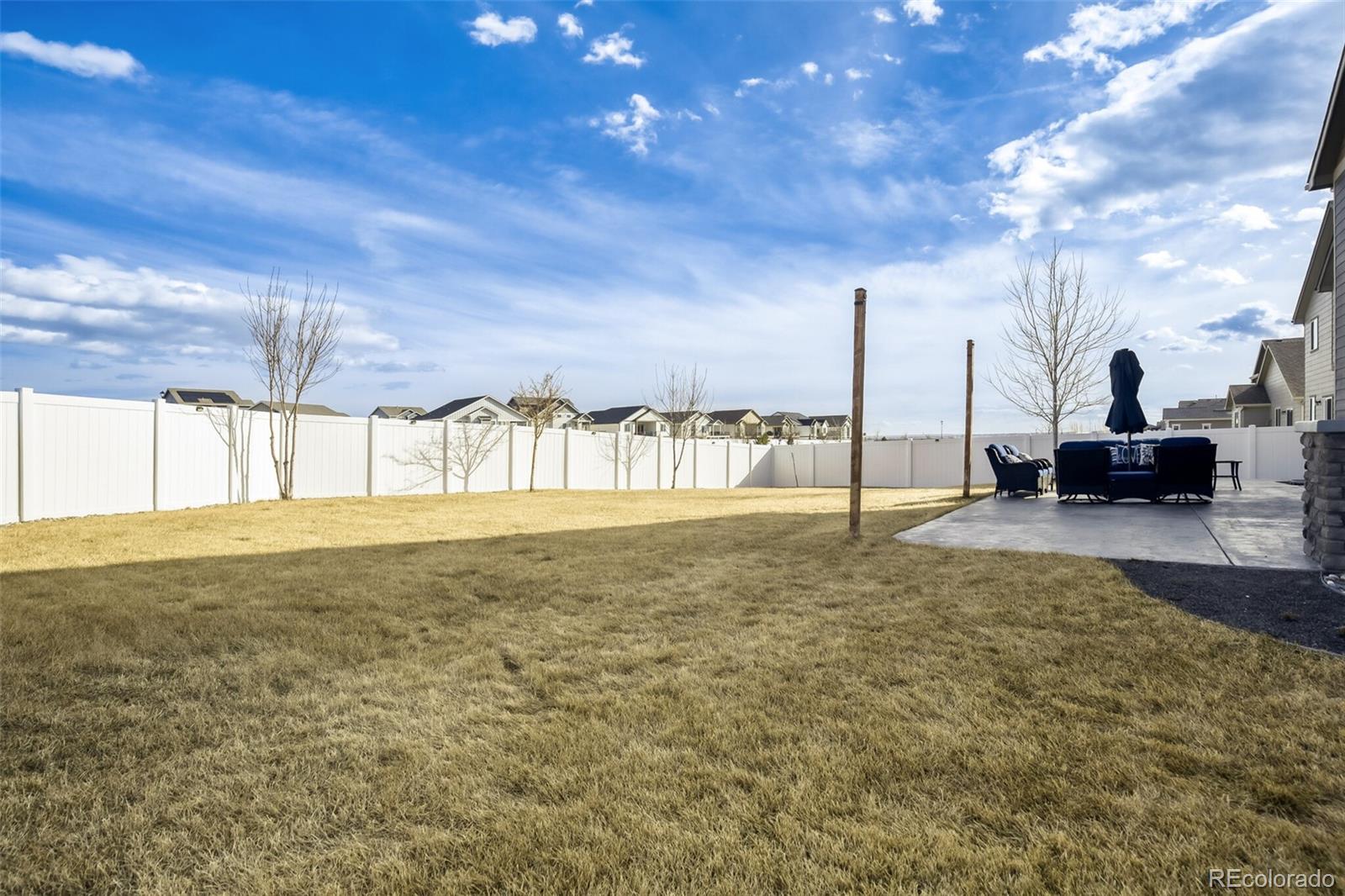 MLS Image #16 for 4775  waltham drive,windsor, Colorado