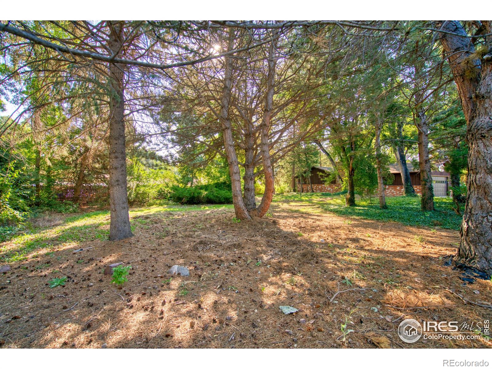 MLS Image #10 for 5511  pioneer road,boulder, Colorado