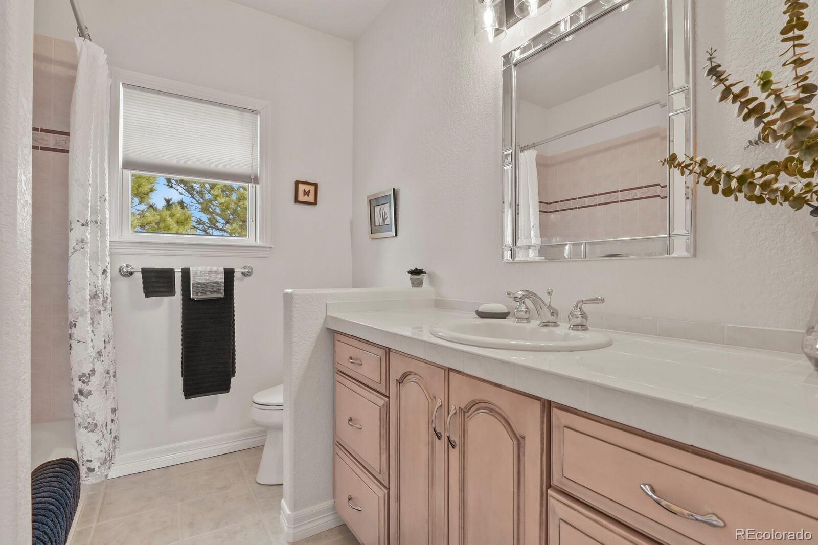 MLS Image #16 for 26846  richards circle,elizabeth, Colorado