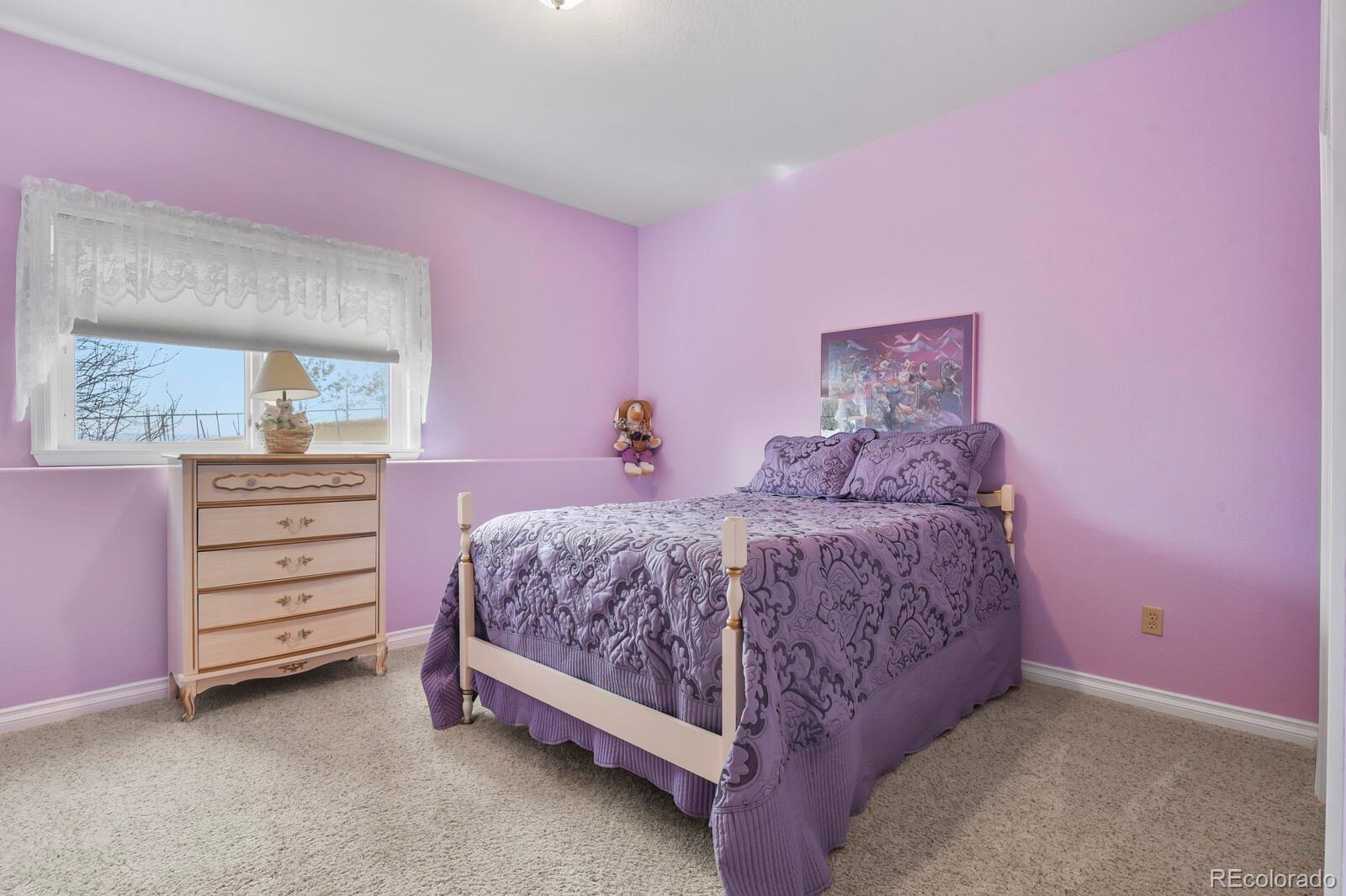 MLS Image #19 for 26846  richards circle,elizabeth, Colorado