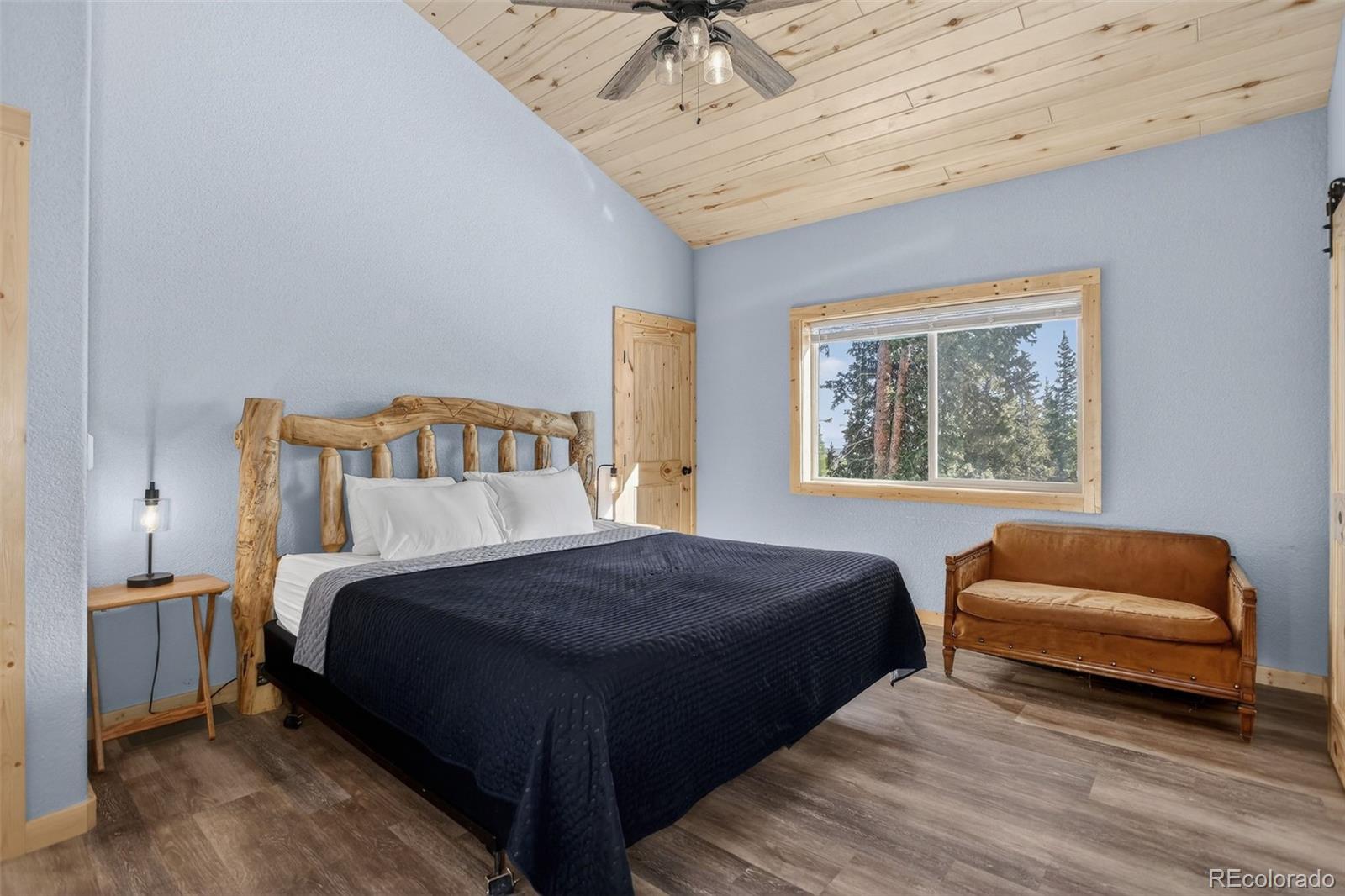 MLS Image #11 for 49  silverheels crossing,fairplay, Colorado