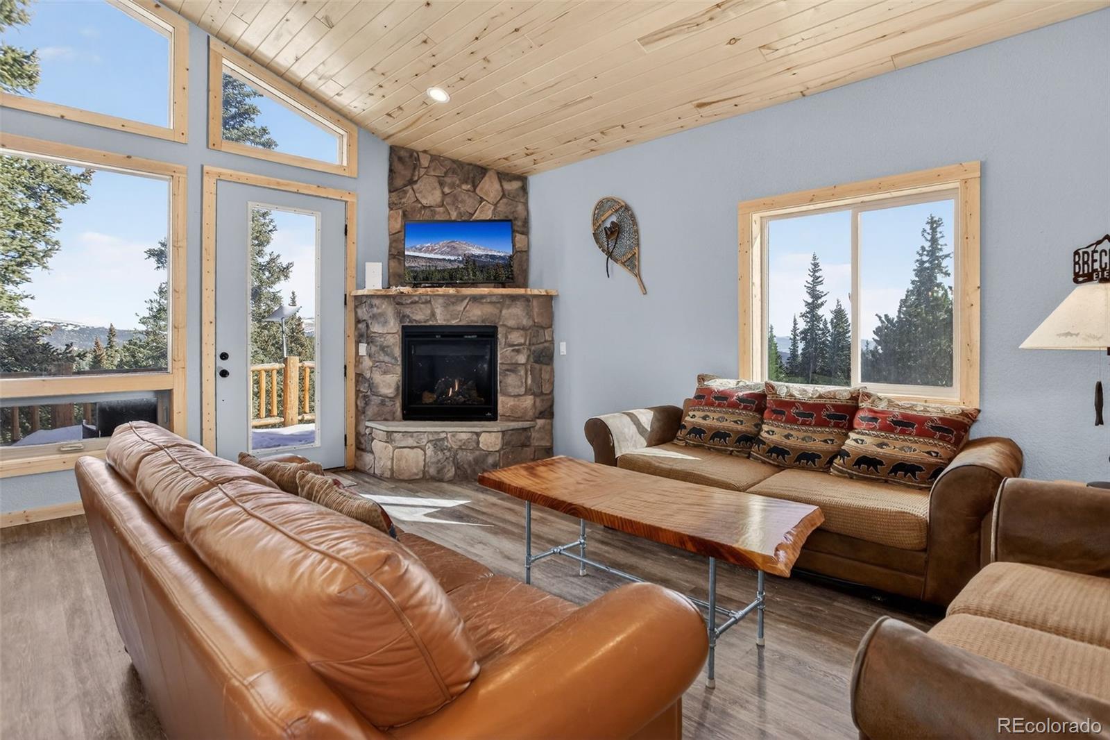 MLS Image #18 for 49  silverheels crossing,fairplay, Colorado