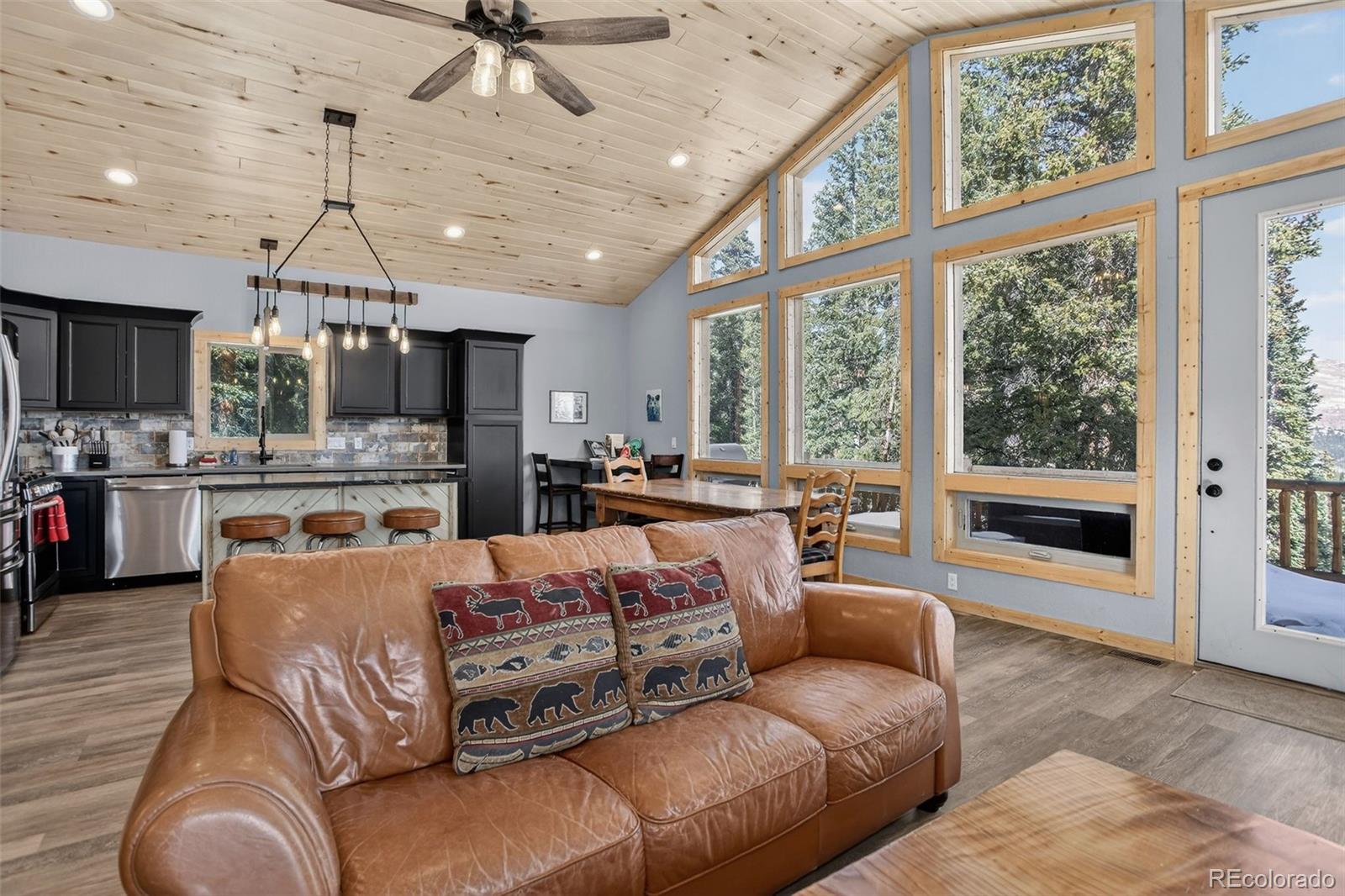 MLS Image #21 for 49  silverheels crossing,fairplay, Colorado