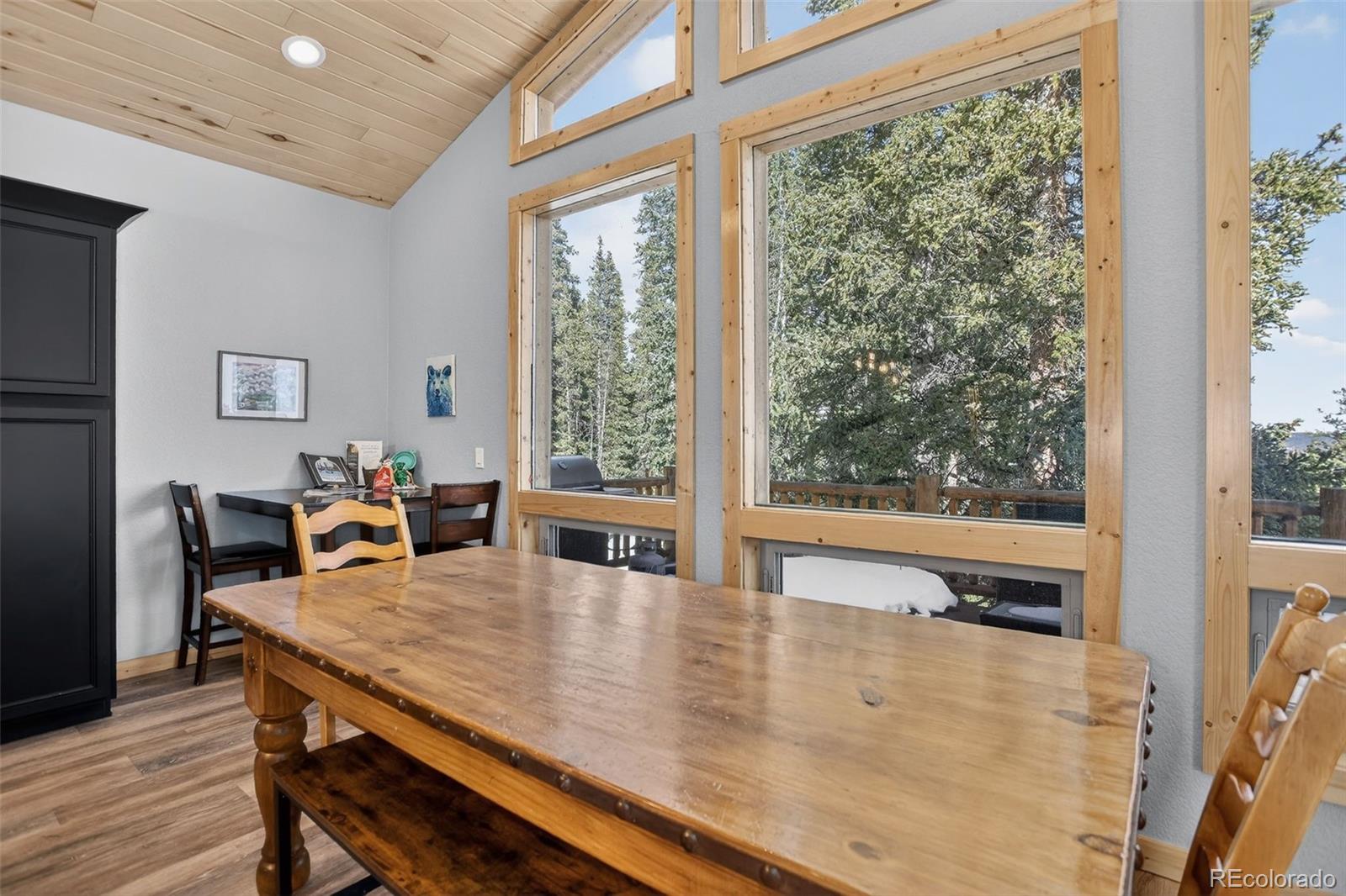 MLS Image #22 for 49  silverheels crossing,fairplay, Colorado