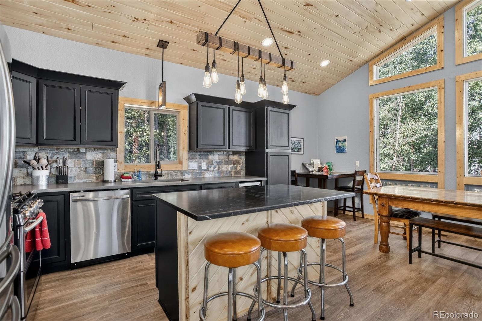 MLS Image #24 for 49  silverheels crossing,fairplay, Colorado