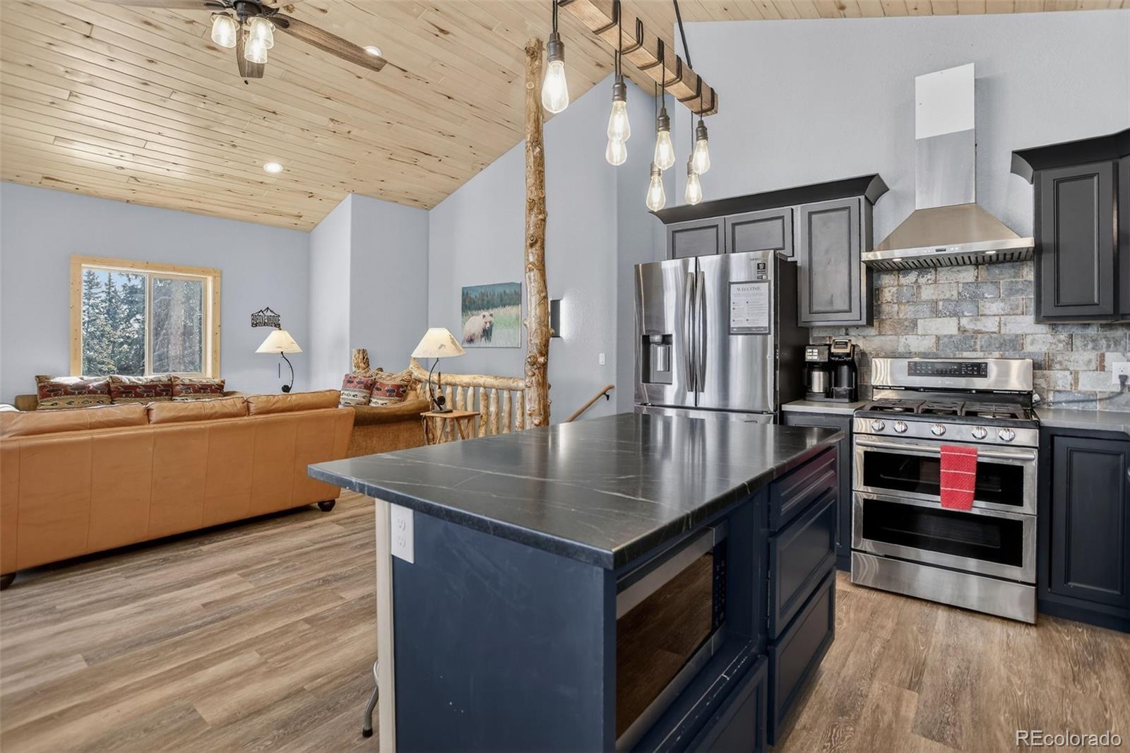 MLS Image #25 for 49  silverheels crossing,fairplay, Colorado