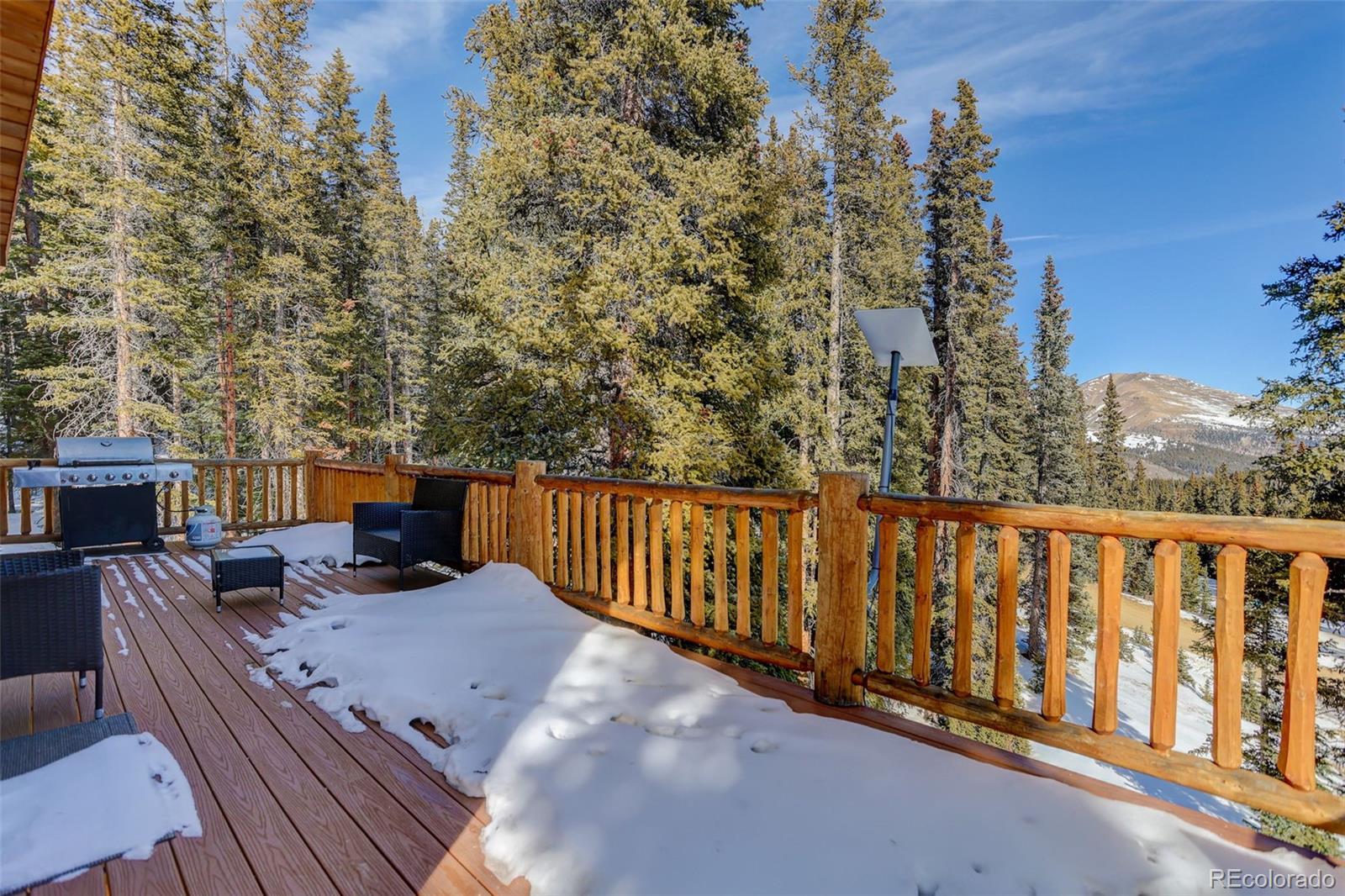 MLS Image #27 for 49  silverheels crossing,fairplay, Colorado