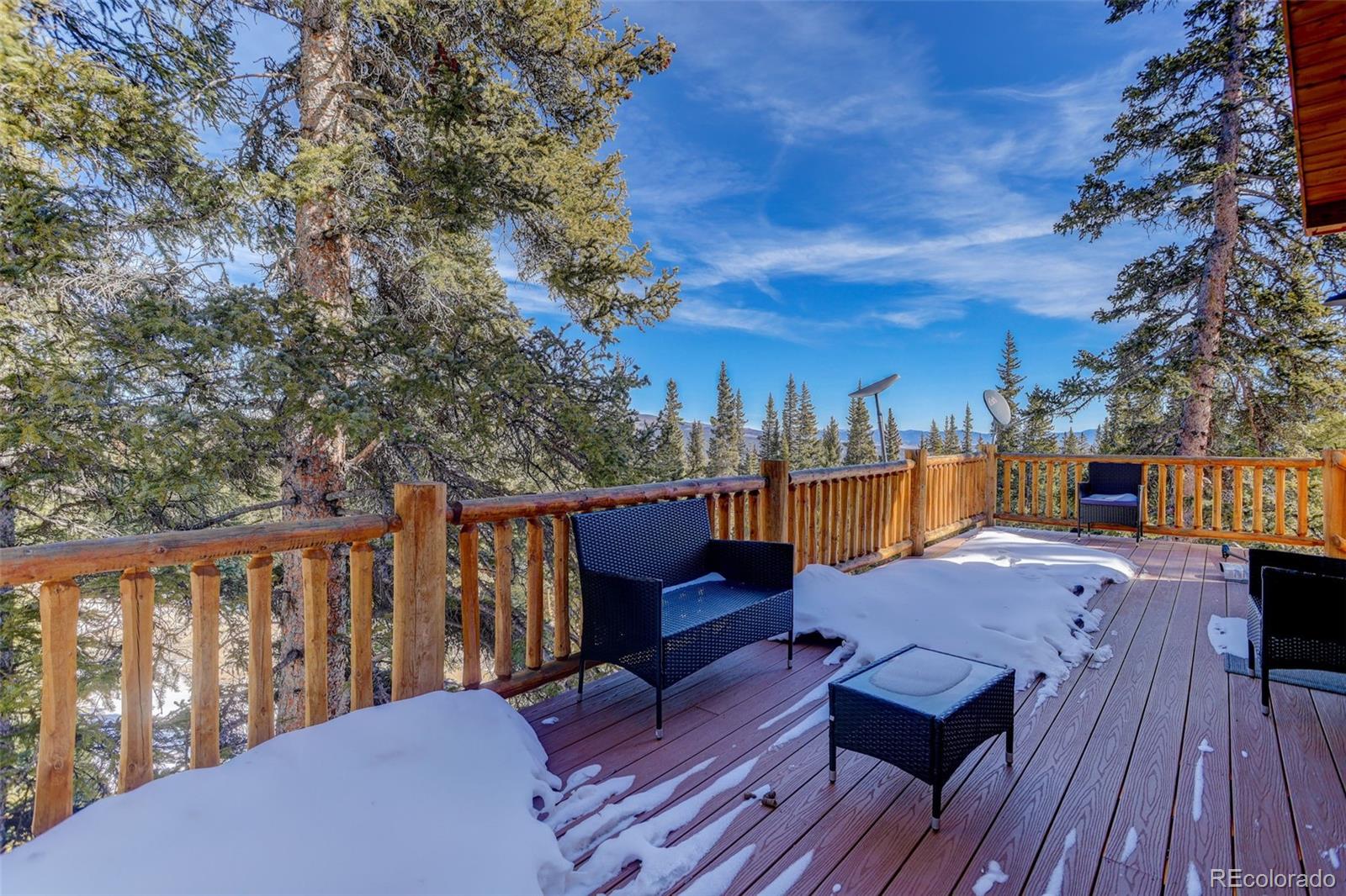 MLS Image #28 for 49  silverheels crossing,fairplay, Colorado
