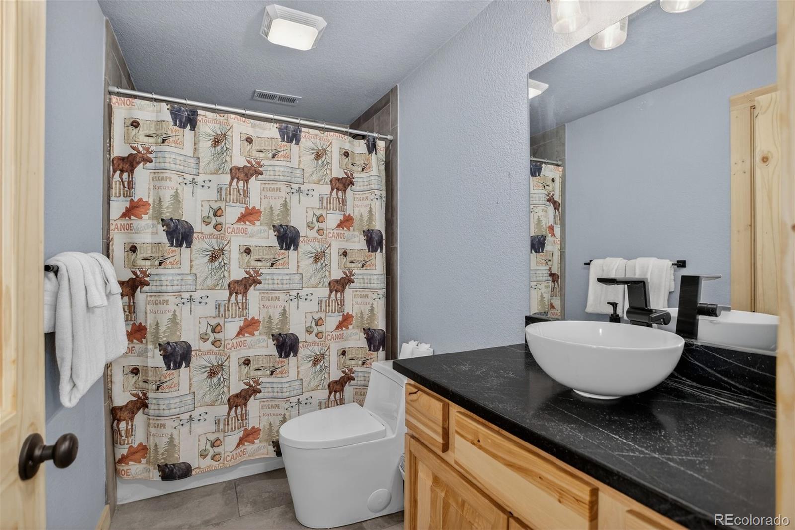 MLS Image #31 for 49  silverheels crossing,fairplay, Colorado