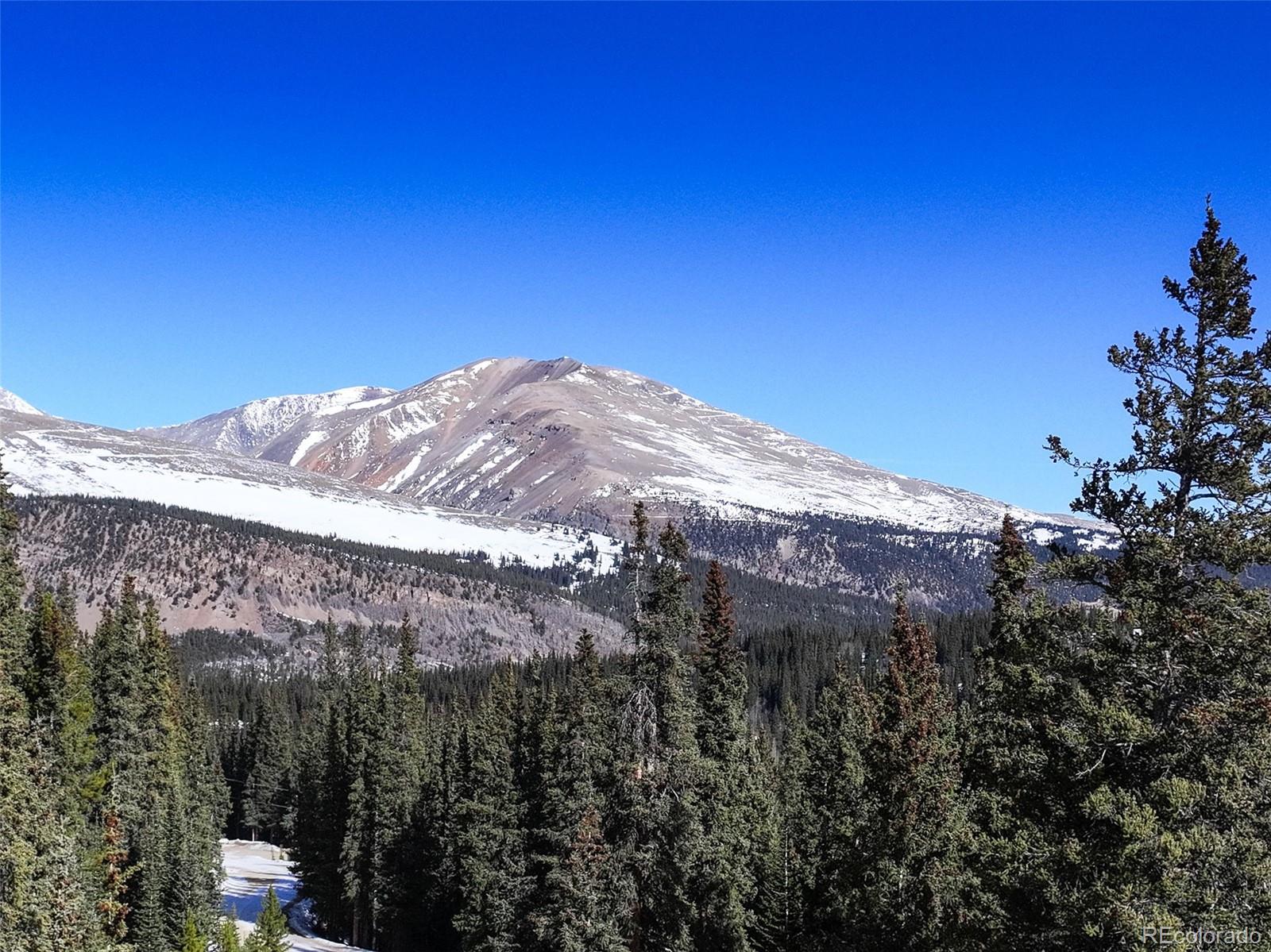 MLS Image #42 for 49  silverheels crossing,fairplay, Colorado