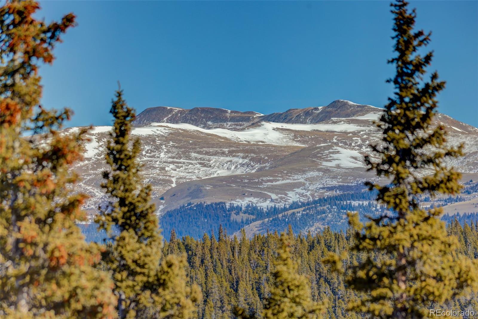 MLS Image #45 for 49  silverheels crossing,fairplay, Colorado