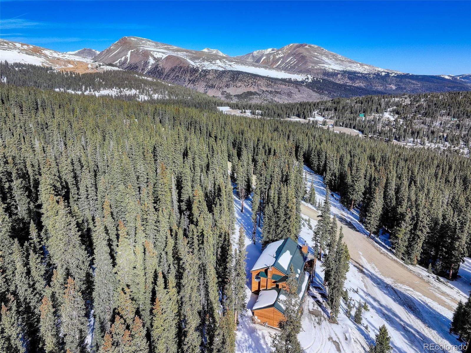 MLS Image #5 for 49  silverheels crossing,fairplay, Colorado