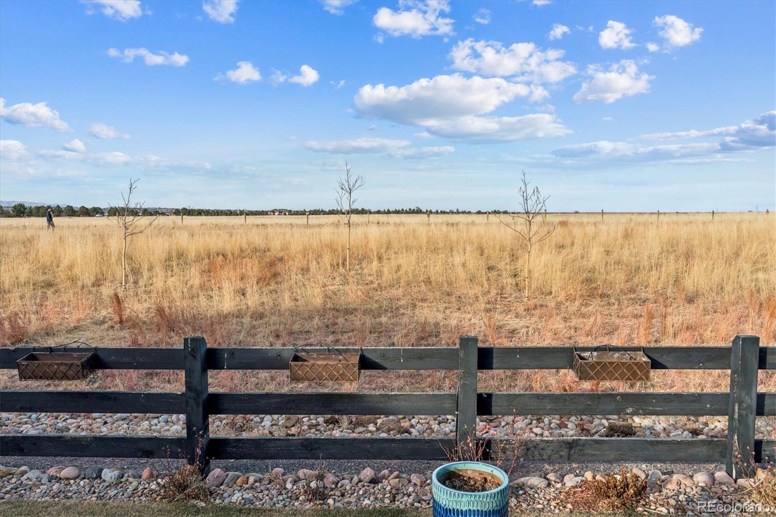 MLS Image #29 for 9505  autumn moon avenue,littleton, Colorado