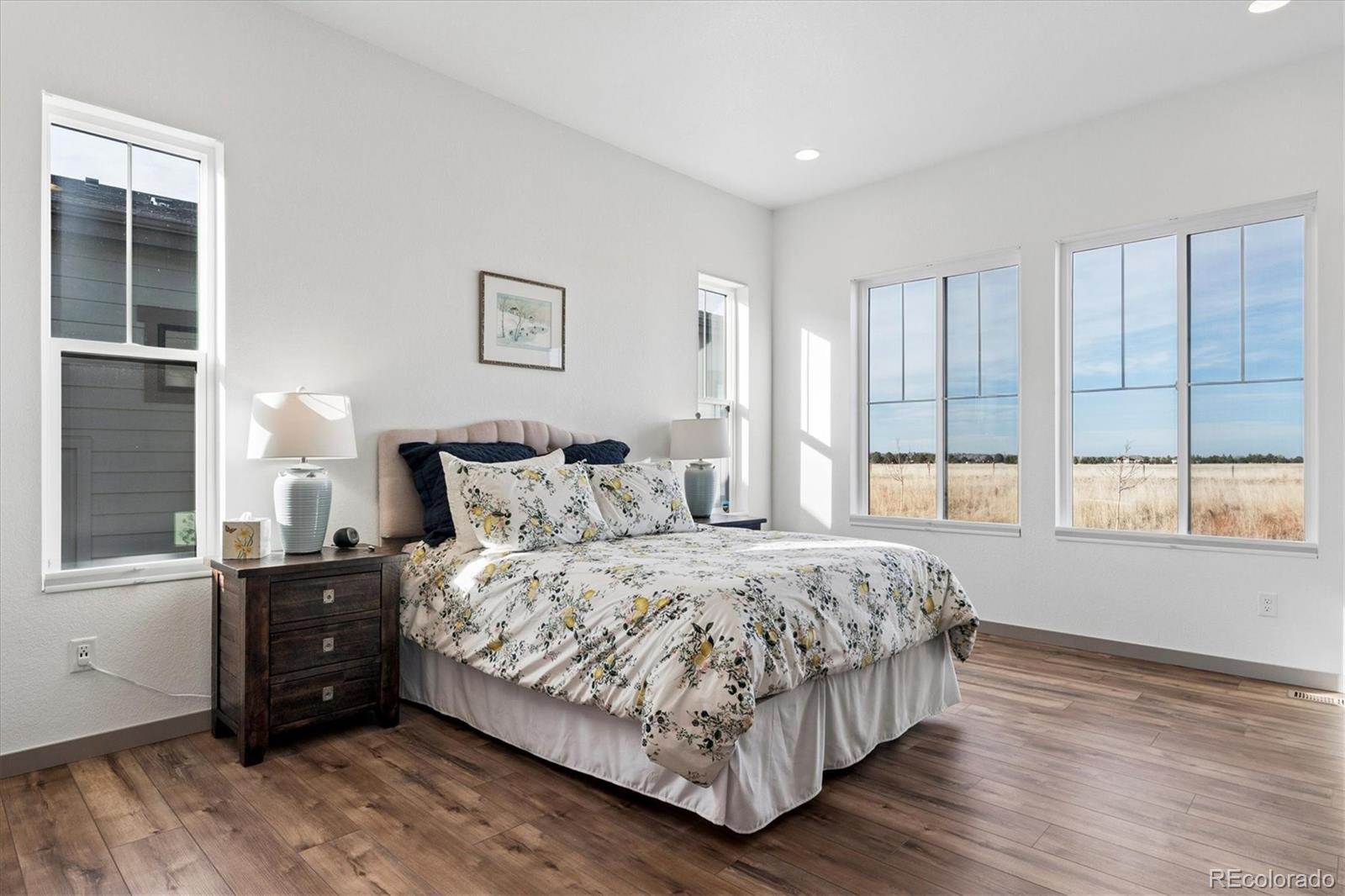 MLS Image #9 for 9505  autumn moon avenue,littleton, Colorado