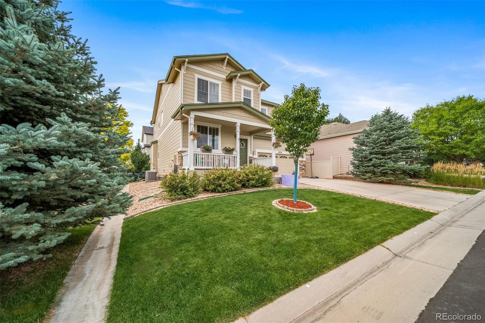 MLS Image #11 for 18236  shadbury lane,parker, Colorado