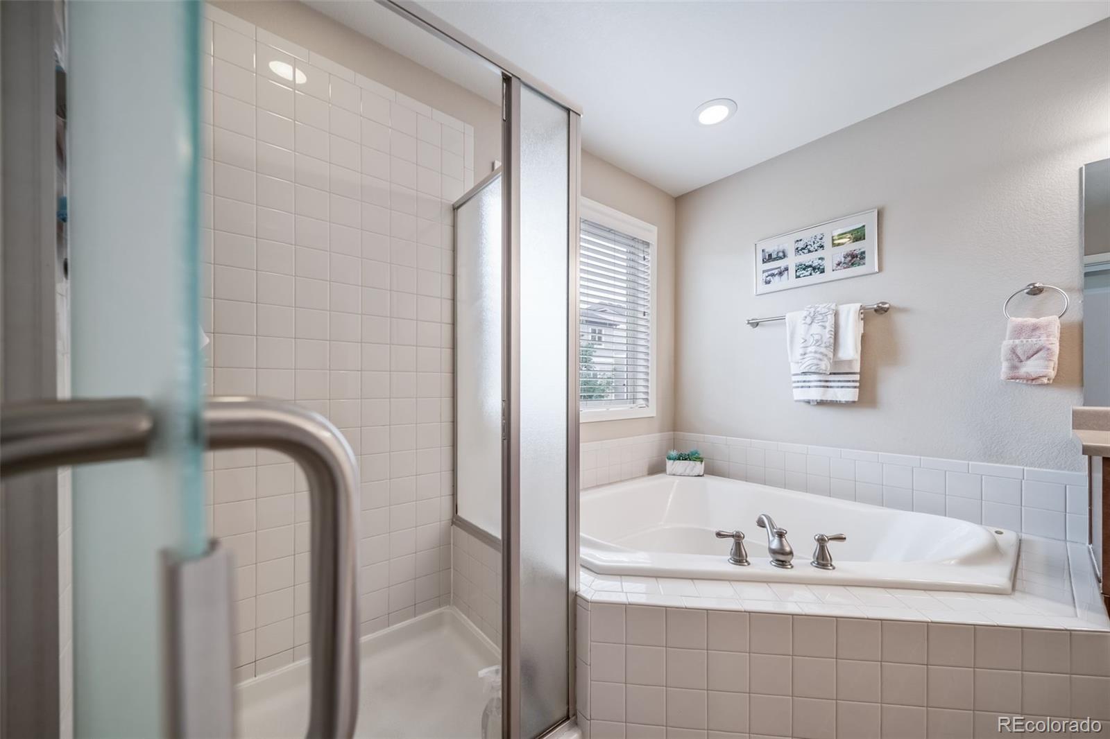 MLS Image #22 for 18236  shadbury lane,parker, Colorado