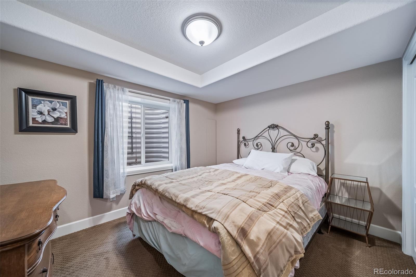 MLS Image #29 for 18236  shadbury lane,parker, Colorado