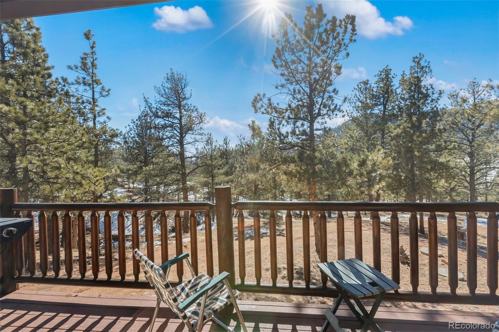 MLS Image #15 for 10448  cr1 ,florissant, Colorado