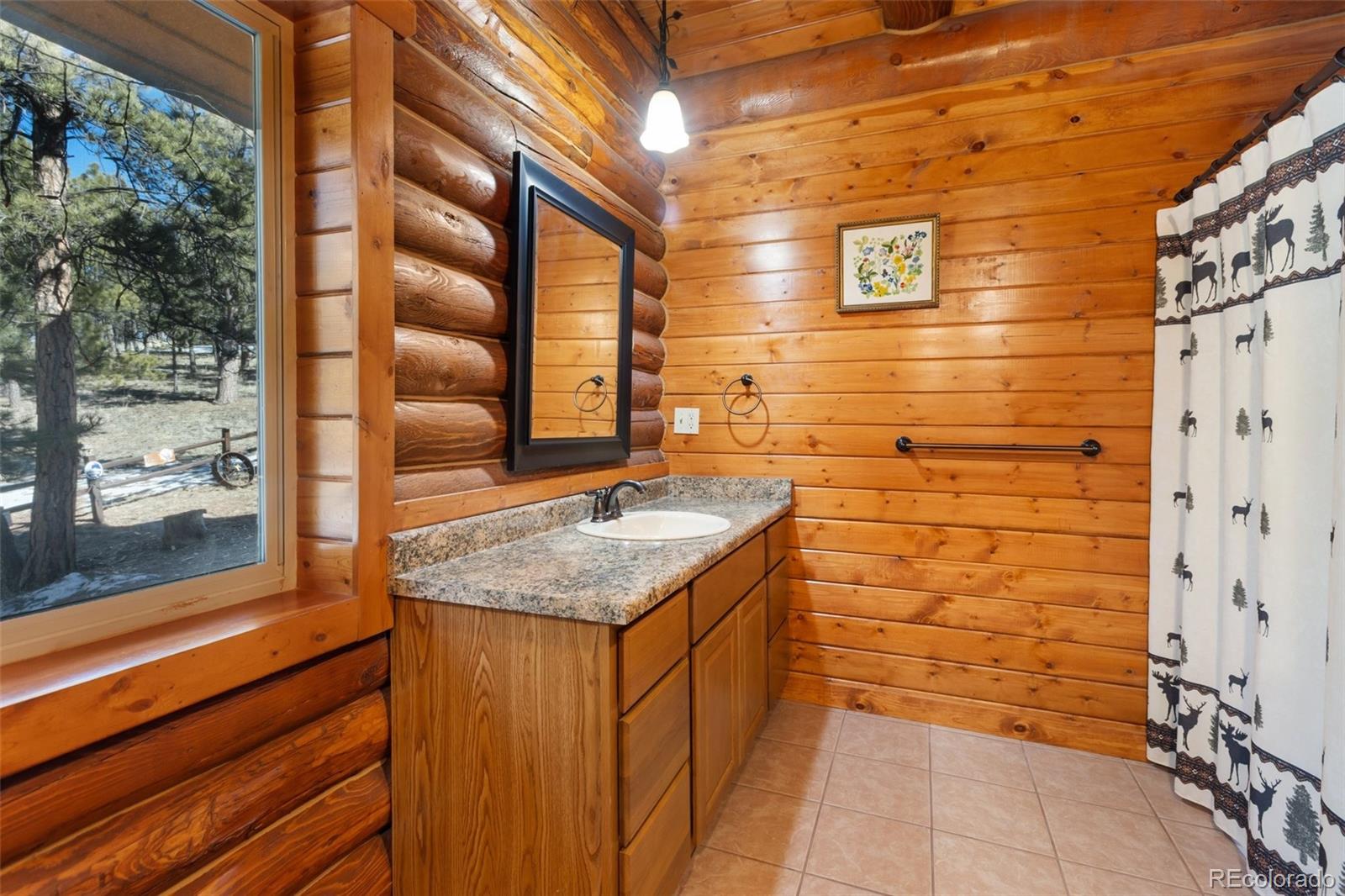 MLS Image #21 for 10448  cr1 ,florissant, Colorado