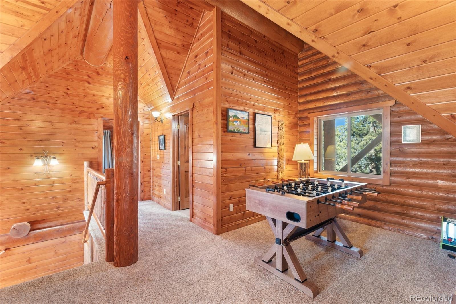 MLS Image #24 for 10448  cr1 ,florissant, Colorado
