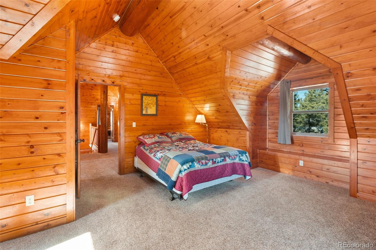 MLS Image #29 for 10448  cr1 ,florissant, Colorado