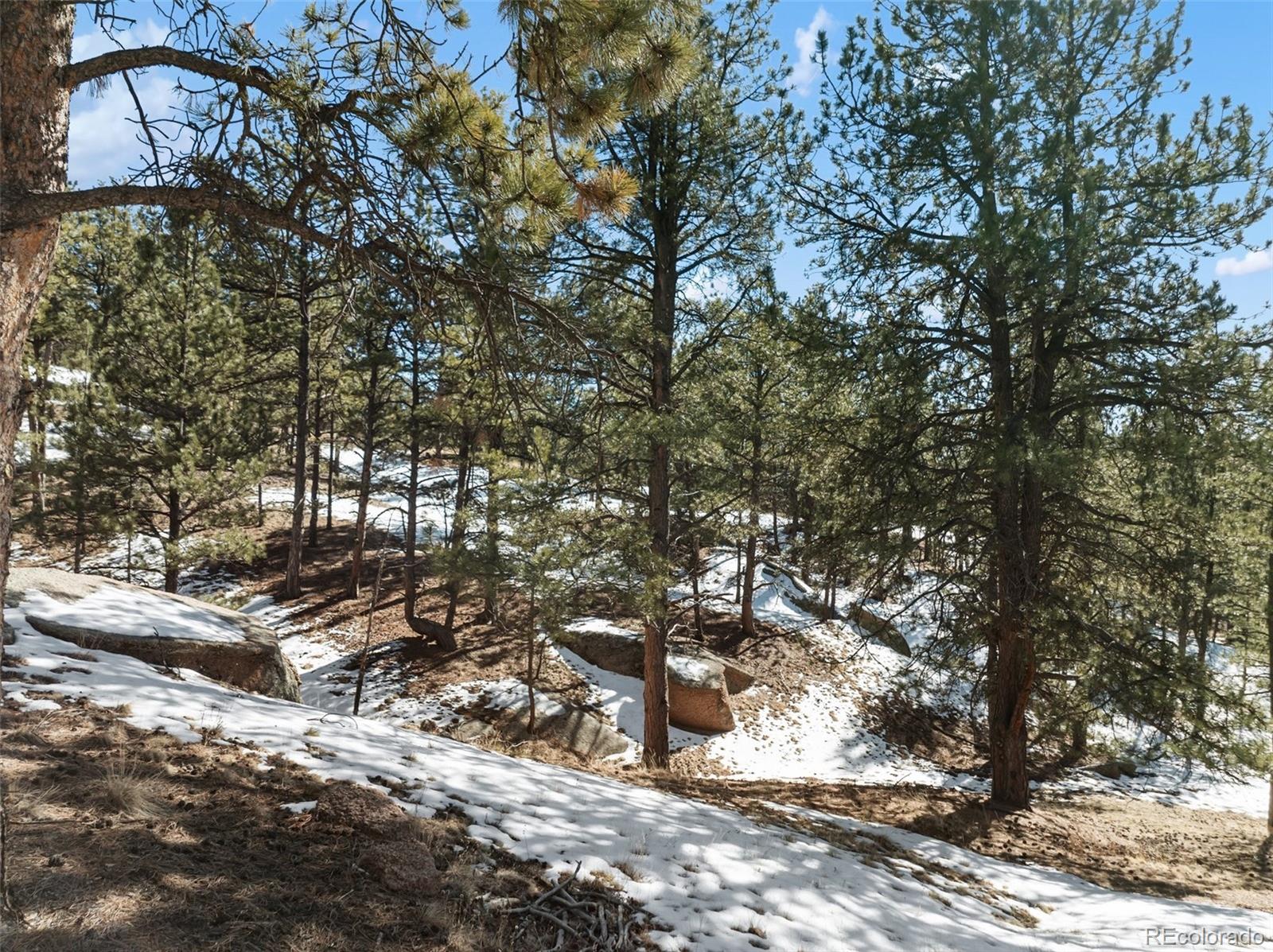 MLS Image #32 for 10448  cr1 ,florissant, Colorado