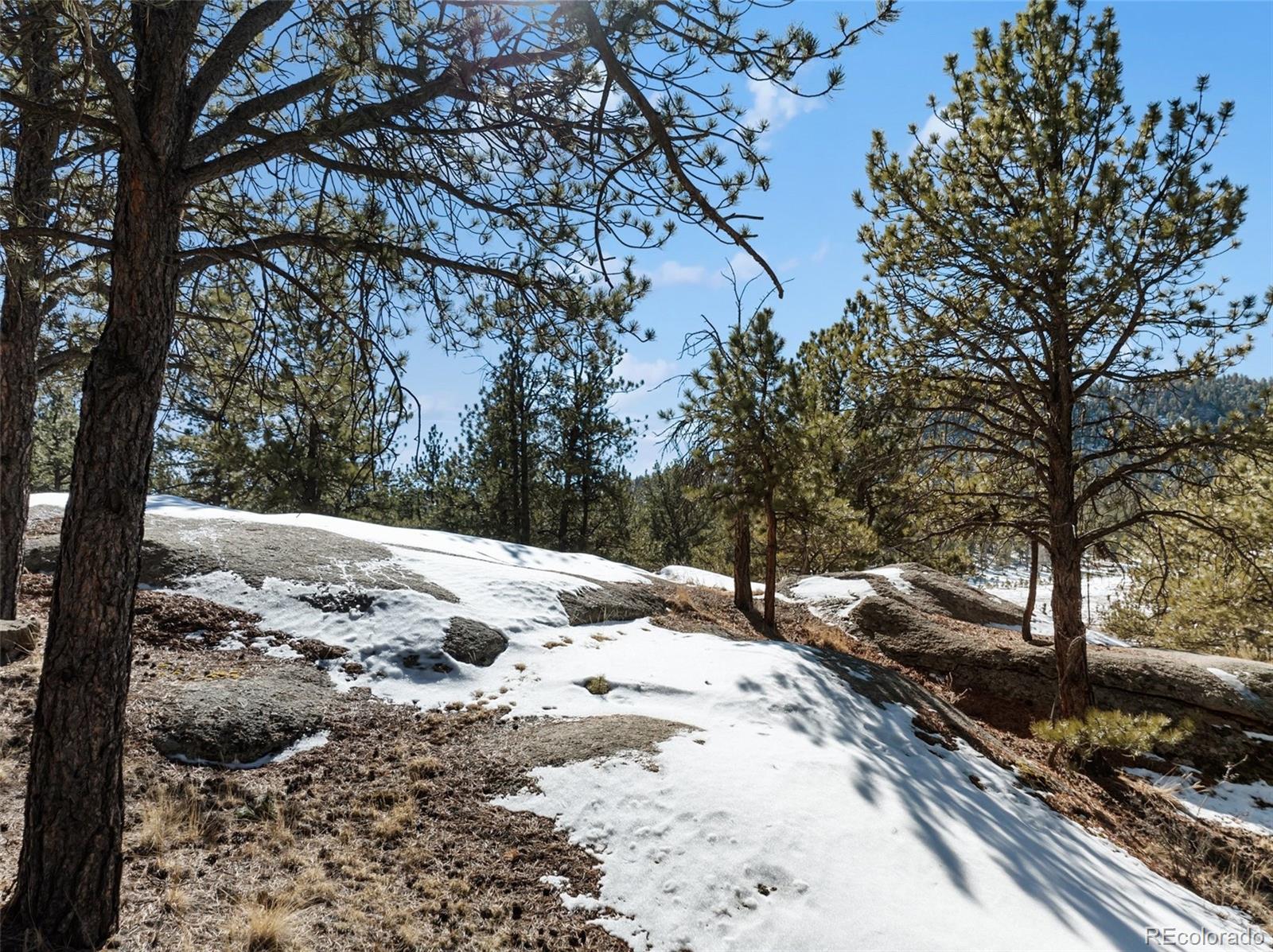 MLS Image #33 for 10448  cr1 ,florissant, Colorado