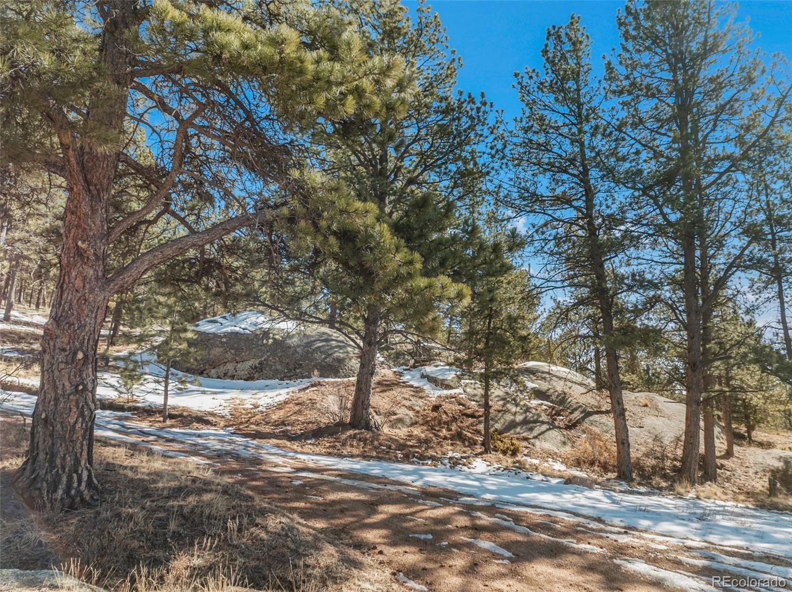MLS Image #34 for 10448  cr1 ,florissant, Colorado