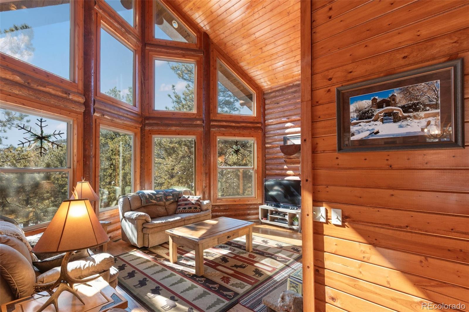 MLS Image #5 for 10448  cr1 ,florissant, Colorado