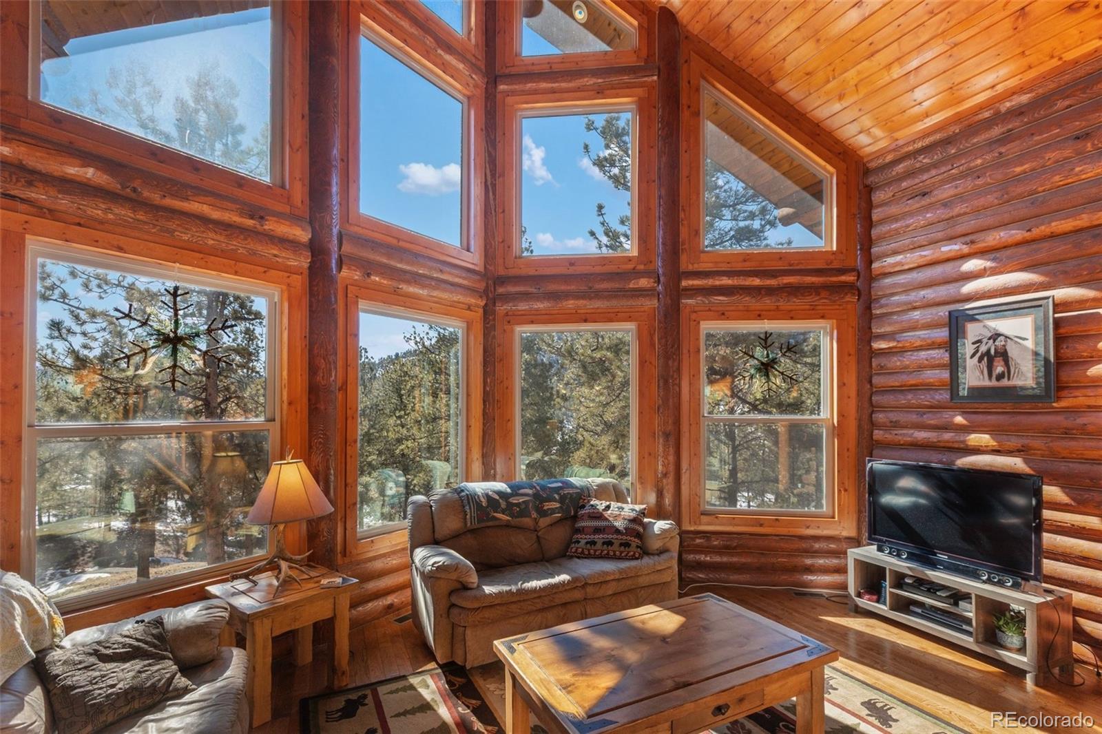 MLS Image #6 for 10448  cr1 ,florissant, Colorado