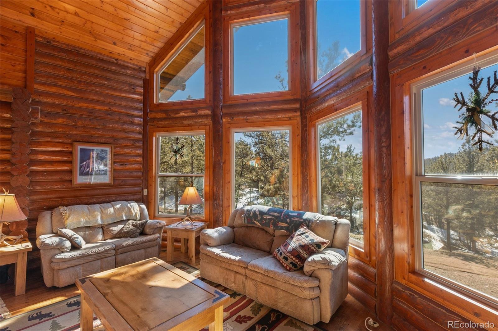 MLS Image #9 for 10448  cr1 ,florissant, Colorado